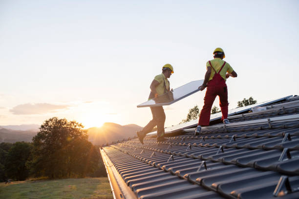 Best Roof Maintenance and Cleaning  in Mora, MN