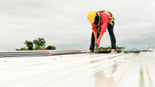 Best Sheet Metal Roofing  in Mora, MN