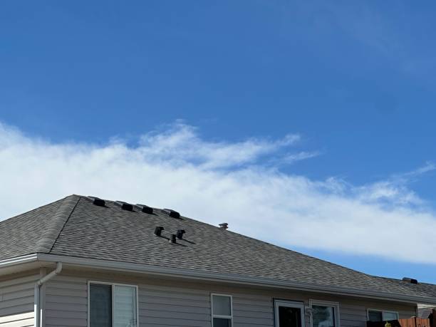 Best Emergency Roof Repair Services  in Mora, MN